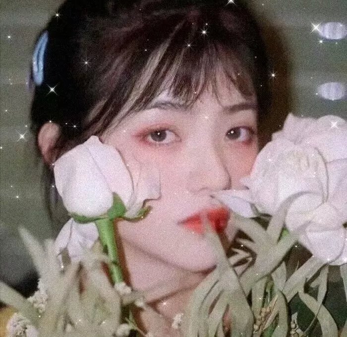 玛丽亚·泽夫