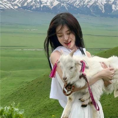 顽皮豹之子